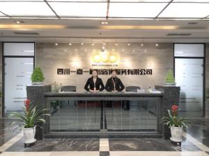 專業財稅咨詢，助力企業穩健前行——四川一嘉一財稅咨詢服務解析